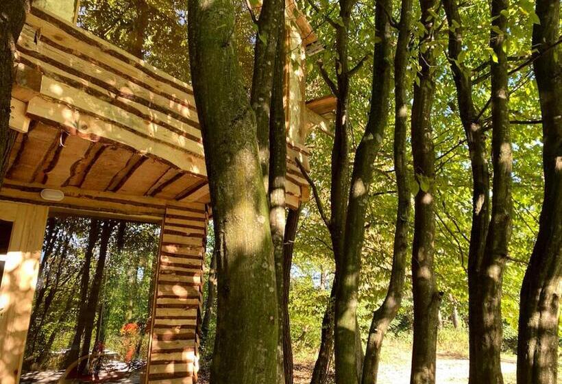 شاليه غرفة نوم واحدة, Kerca Bio Farm