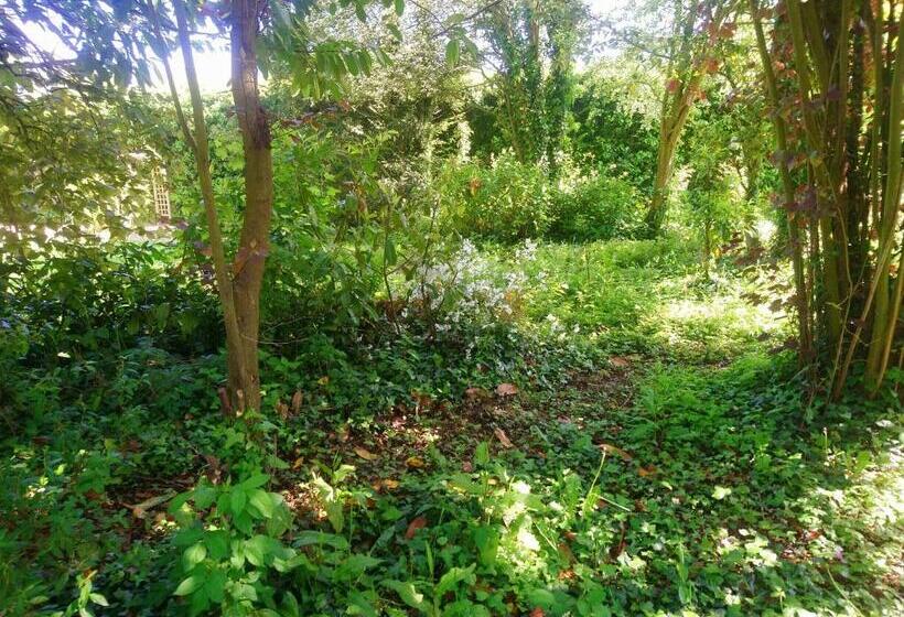 جناح غرفتين نوم, La Nouvelle Criqueboise