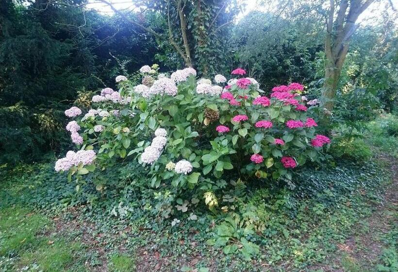 סטודיו סטנדרטי נוף לגינה, La Nouvelle Criqueboise