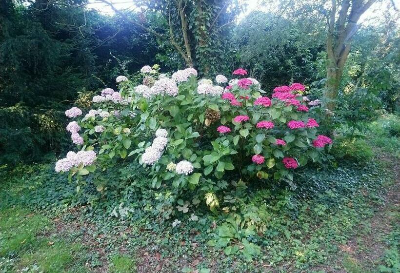 غرفة قياسية, La Nouvelle Criqueboise