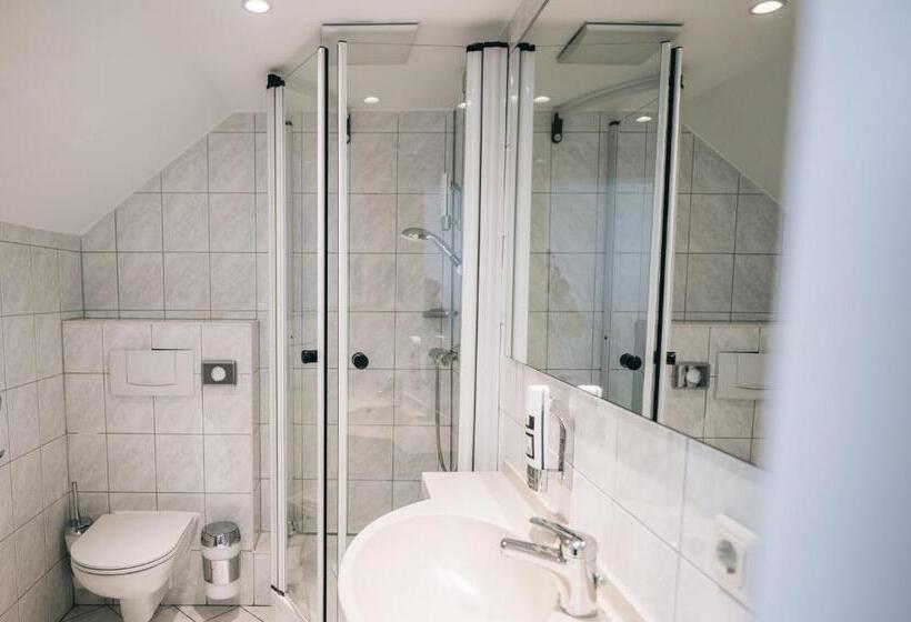 غرفة قياسية فردية, Angermühle Landgasthof