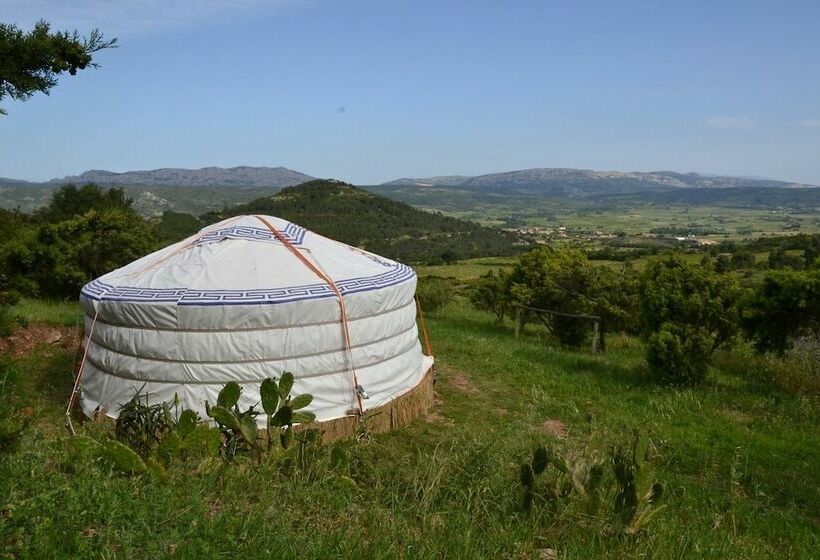 Standard Tent, Yourte Nature Saint Roch