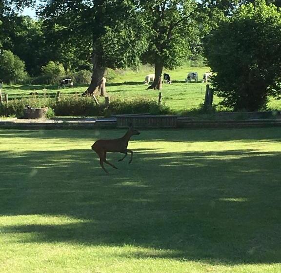 스탠다드 룸 킹사이즈 침대, La Maison De Benjamin