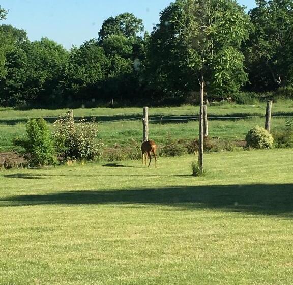 스탠다드 트리플 룸 가든 전망, La Maison De Benjamin