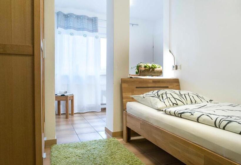 Standart Tek Kişilik Oda, Pension Sleep In Brettach