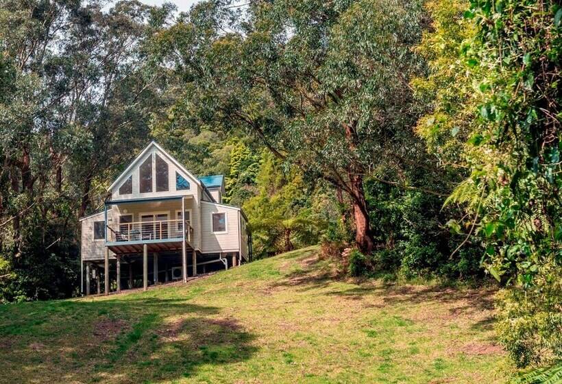 בית, חדר שינה 1, The Drawing Rooms Of Berry