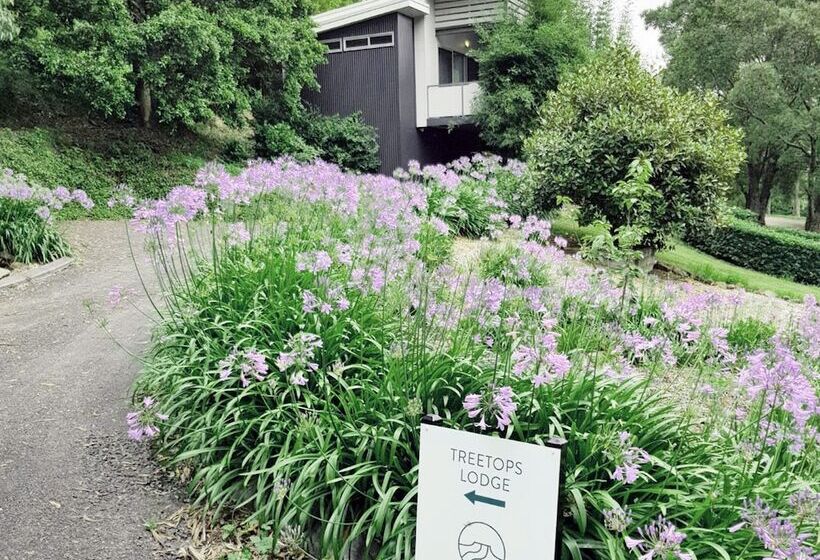 וילה בת חדר שינה 1, The Drawing Rooms Of Berry