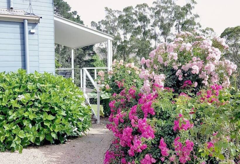 בית, 2 חדרי שינה, The Drawing Rooms Of Berry