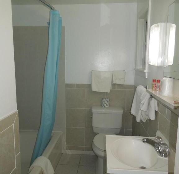 غرفه قياسيه سريرين مزدوجين, Budget Inn Watkins Glen