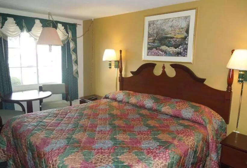 اتاق استاندارد با تخت بزرگ, Budget Inn Watkins Glen