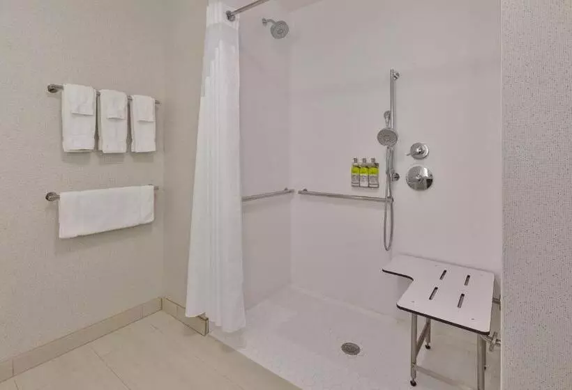 身障者適用キングサイズベッドルーム, Holiday Inn Express & Suites   Milan   Sandusky Area, An Ihg