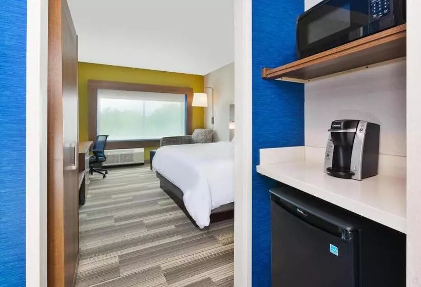 身障者適用キングサイズベッドルーム, Holiday Inn Express & Suites   Milan   Sandusky Area, An Ihg