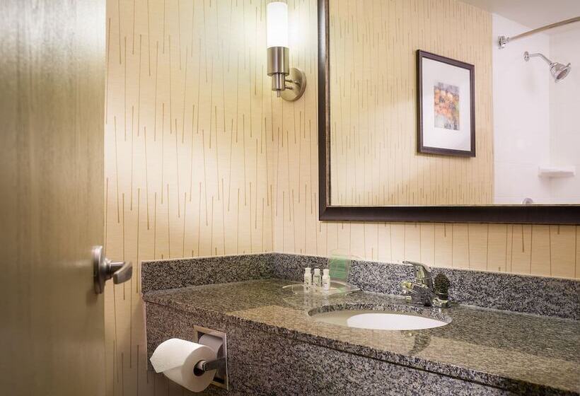 Номер Стандарт 2 Двуспальные Кровати, Holiday Inn Hartford Downtown Area By Ihg