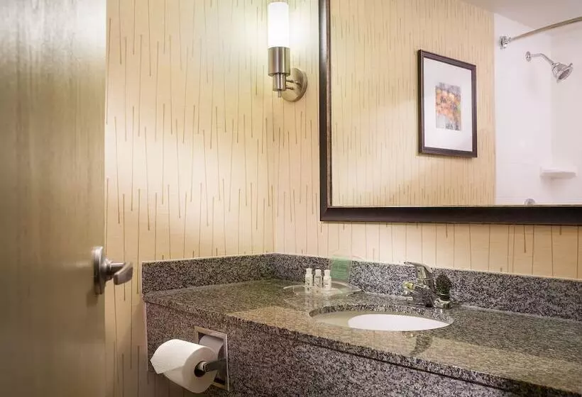 ２ダブルベッドのスタンダードルーム, Holiday Inn Hartford Downtown Area By Ihg