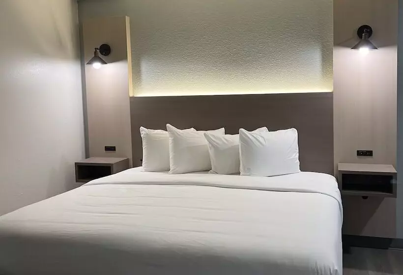 スイート, Mainstay Suites Columbia Harbison
