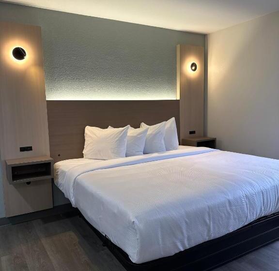 带大床的标准间, Mainstay Suites Columbia Harbison