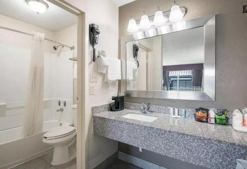 キングサイズベッドのスタンダードルーム, Quality Inn Concord Kannapolis