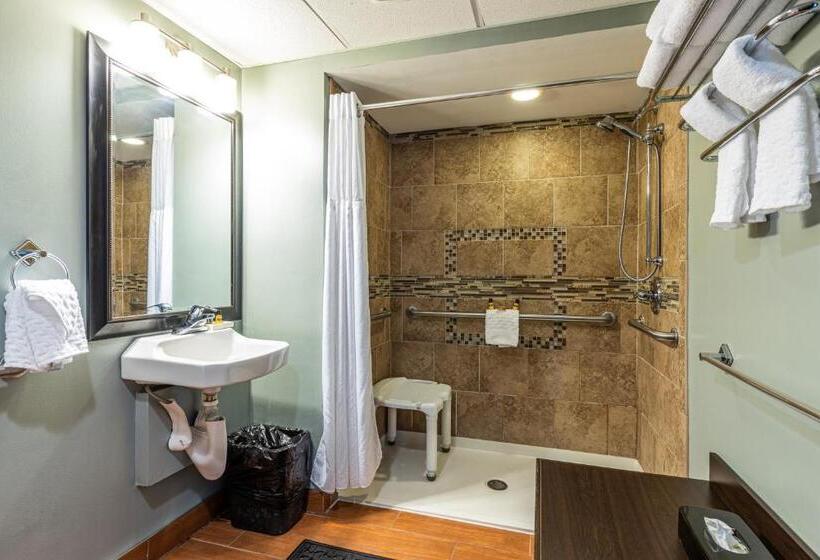 适合残疾人士使用的带超级大床的标准间, Sandcastle Resort