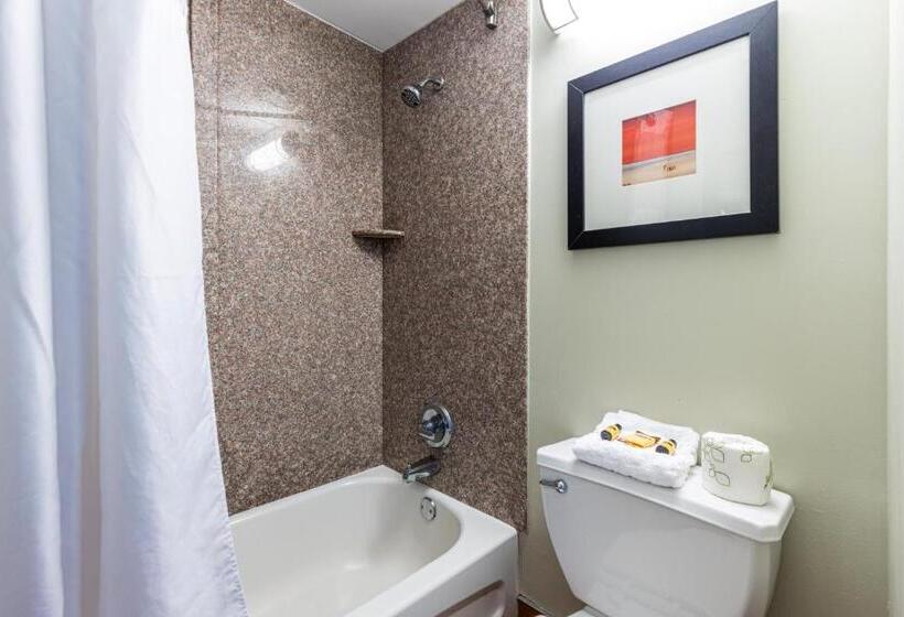 带海景的标准房, Sandcastle Resort