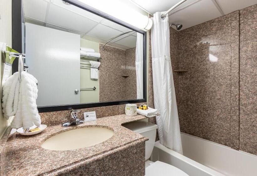 带2个双人床的标准工作室, Sandcastle Resort