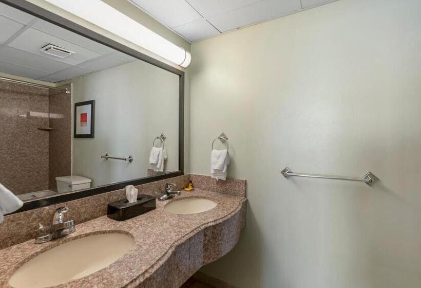 标准工作室, Sandcastle Resort