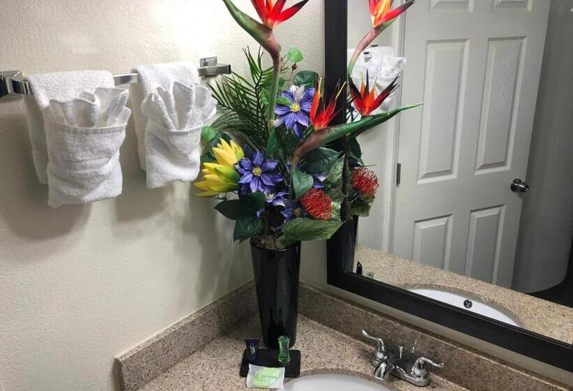 غرفة سوبيريور لذوى الاحتياجات الخاصة, Sleep Inn