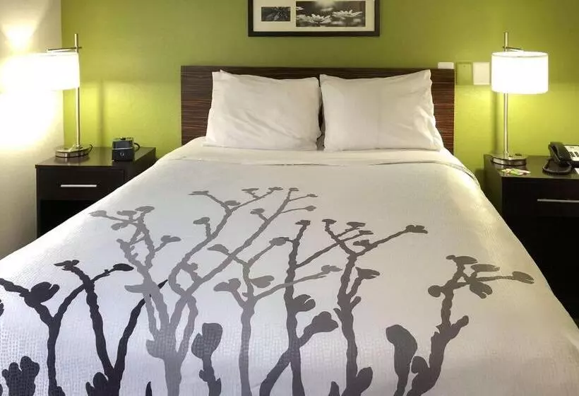 身障者適用スーペリアールーム, Sleep Inn