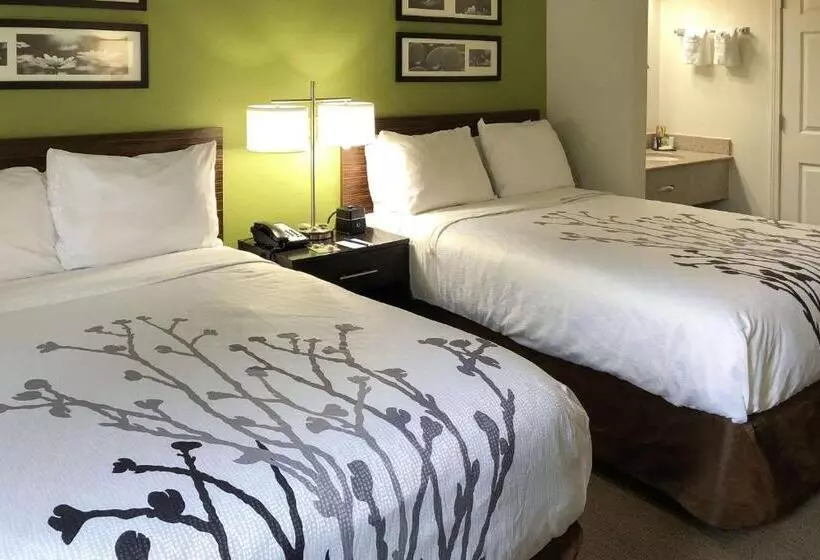 スーペリアールーム, Sleep Inn