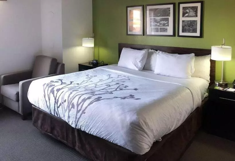 キングサイズベッドのエクゼクティブルーム, Sleep Inn