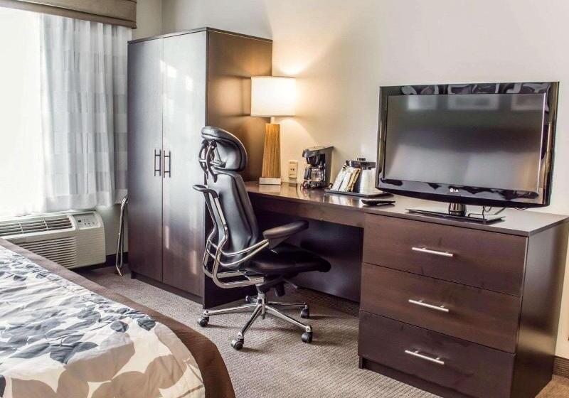 带大床的标准间, Sleep Inn Richmond North