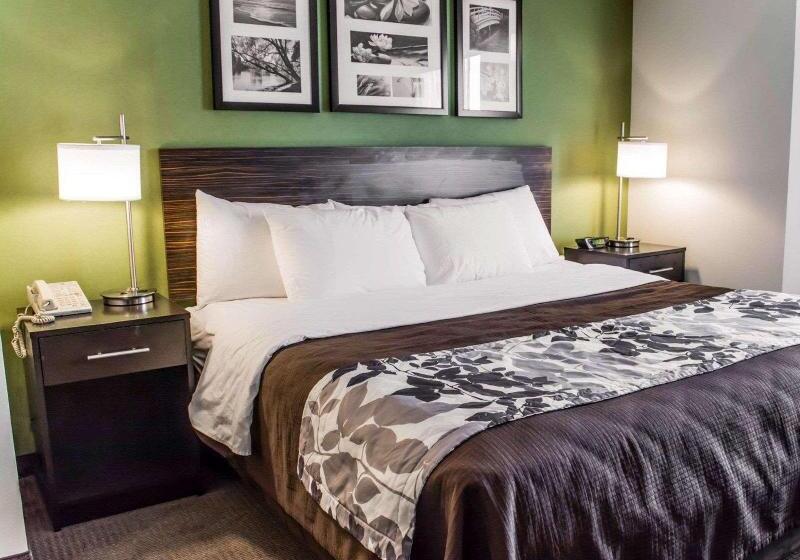带大床的标准间, Sleep Inn Richmond North