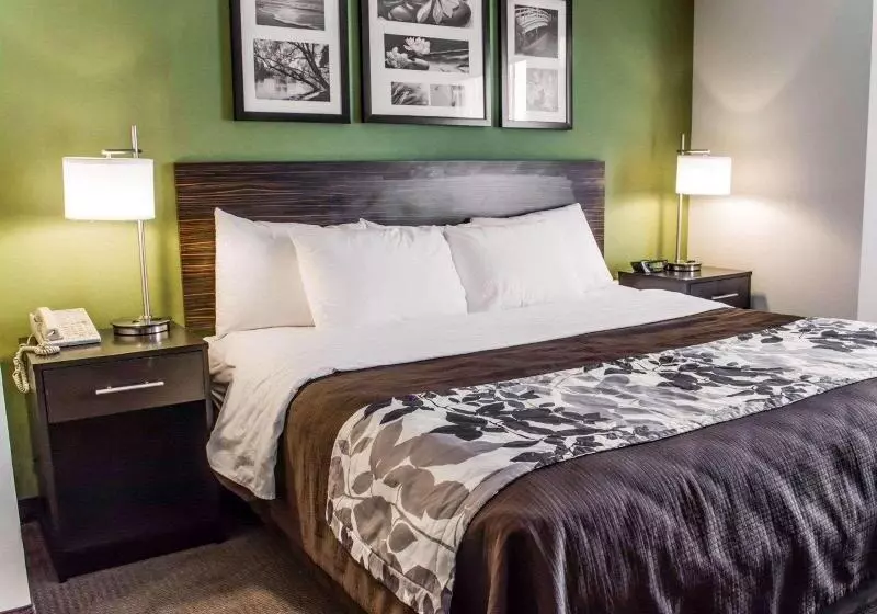 اتاق استاندارد با تخت بزرگ, Sleep Inn Richmond North
