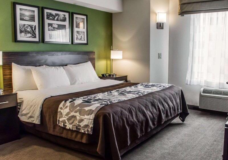 带大床的标准间, Sleep Inn Richmond North