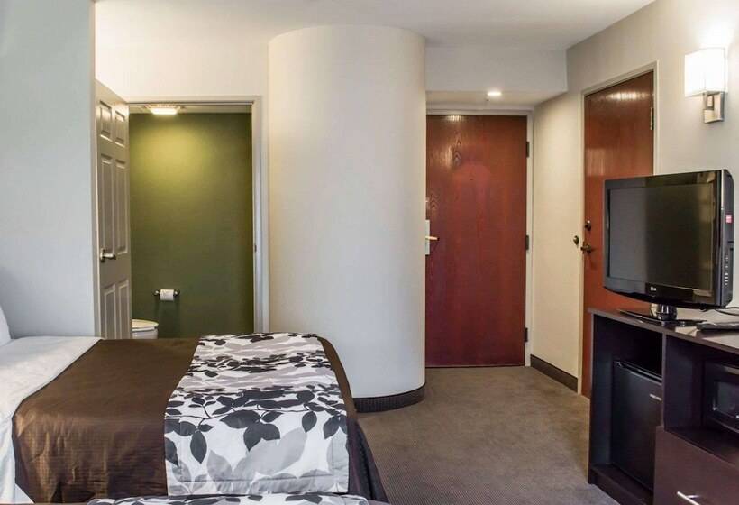 带2个双人床的标准工作室, Sleep Inn Richmond North