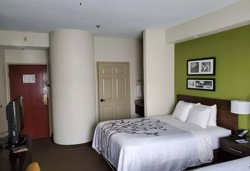 اتاق استاندارد با 2 تخت دوبل, Sleep Inn Richmond North