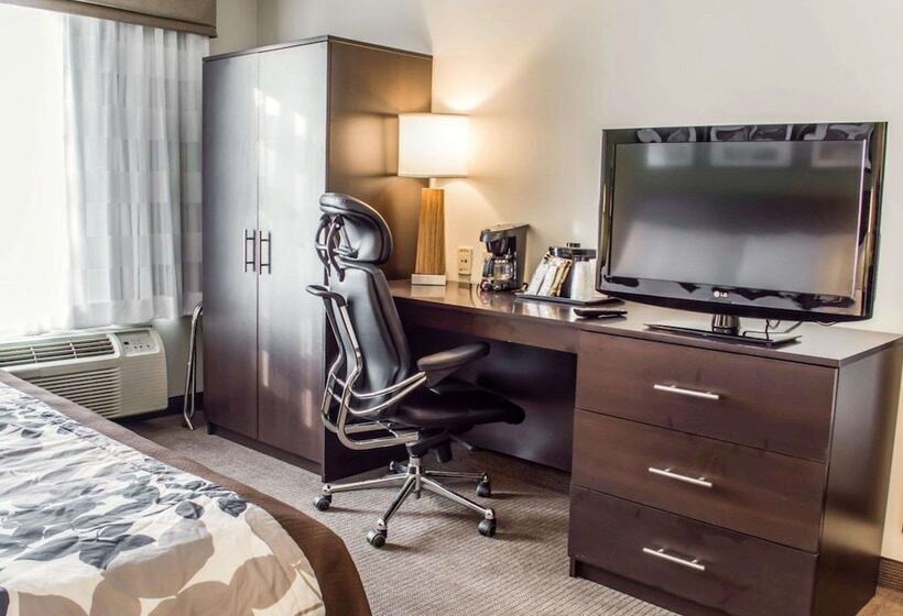 带2个双人床的标准工作室, Sleep Inn Richmond North