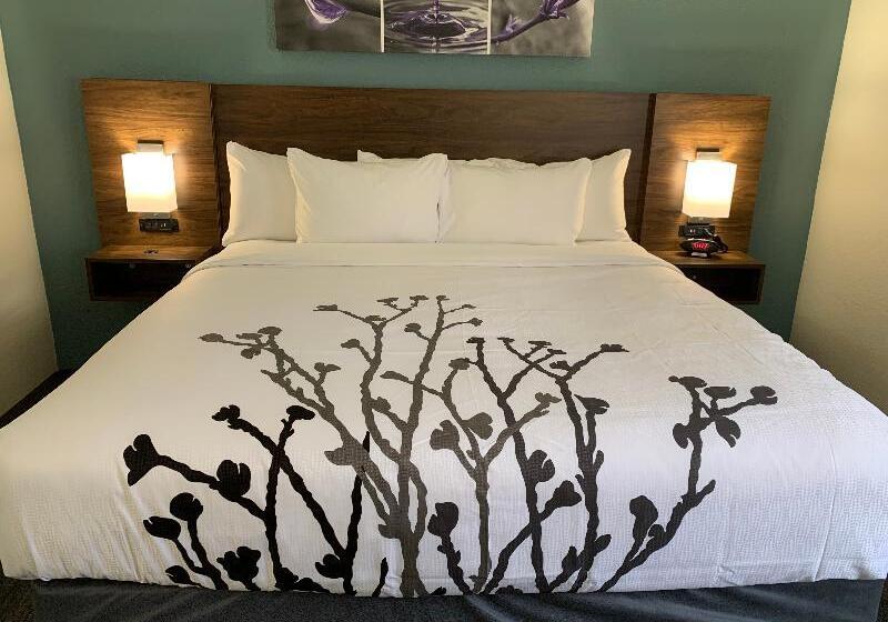 适合残疾人使用的标准间, Sleep Inn & Suites