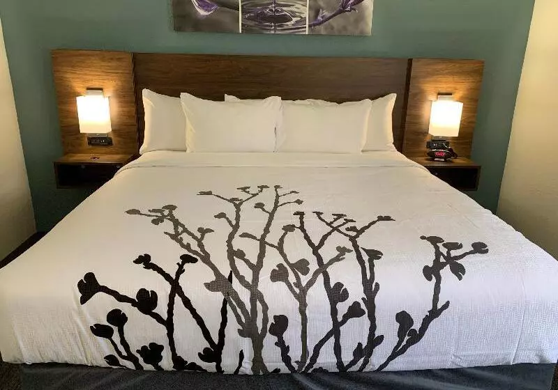 身障者適用スタンダードルーム, Sleep Inn & Suites