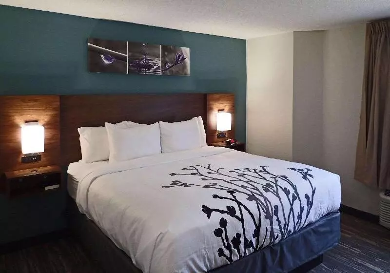 身障者適用スタンダードルーム, Sleep Inn & Suites