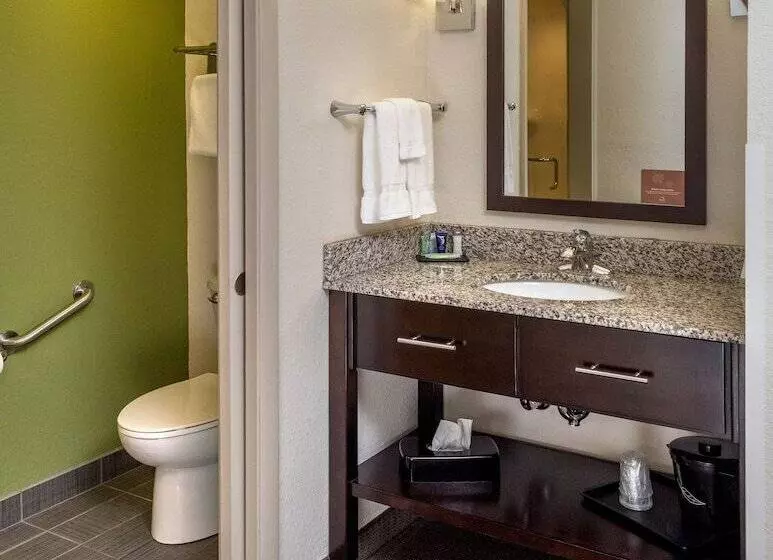 ２ダブルベッドのスタンダードルーム, Sleep Inn & Suites Cross Lanes  South Charleston