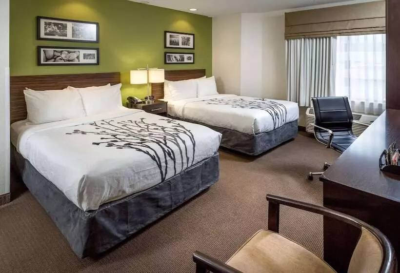 ２ダブルベッドのスタンダードルーム, Sleep Inn & Suites Cross Lanes  South Charleston