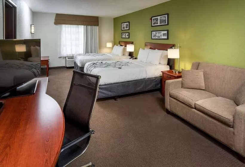 身障者適用スイートルーム, Sleep Inn & Suites Cross Lanes  South Charleston