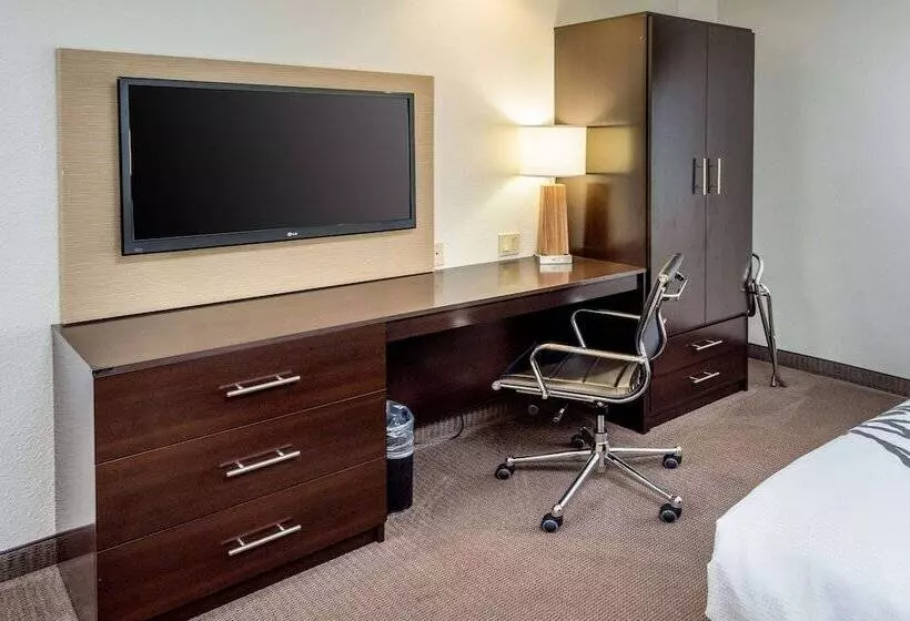 身障者適用スイートルーム, Sleep Inn & Suites Cross Lanes  South Charleston