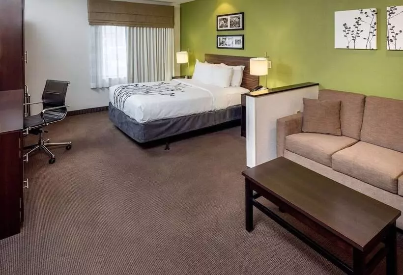 身障者適用スイートルーム, Sleep Inn & Suites Cross Lanes  South Charleston