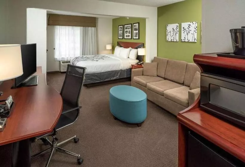 キングサイズベッドのスイートルーム, Sleep Inn & Suites Cross Lanes  South Charleston