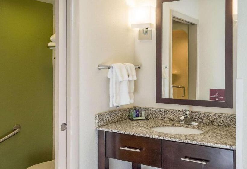 Номер Стандарт 2 Двуспальные Кровати, Sleep Inn & Suites Cross Lanes  South Charleston