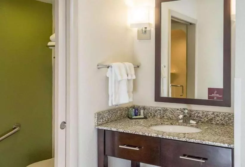 ２ダブルベッドのスタンダードルーム, Sleep Inn & Suites Cross Lanes  South Charleston