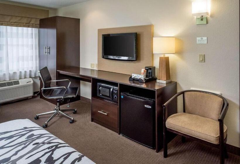 스탠다드 룸 더블 침대 2개, Sleep Inn & Suites Cross Lanes South Charleston