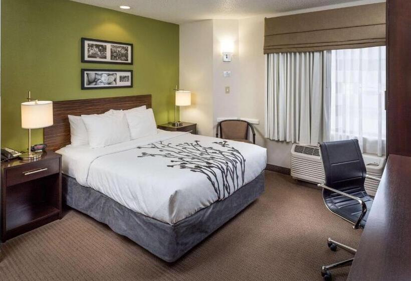 스탠다드 룸, Sleep Inn & Suites Cross Lanes South Charleston