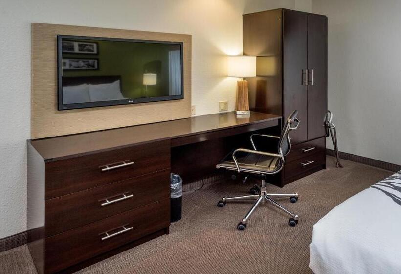 장애인을 위한 스위트, Sleep Inn & Suites Cross Lanes South Charleston